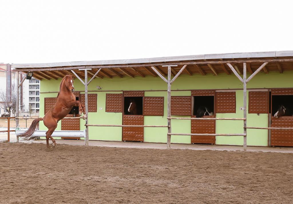 Afyon Can Termal Apart Afyonkarahisar Buitenkant foto