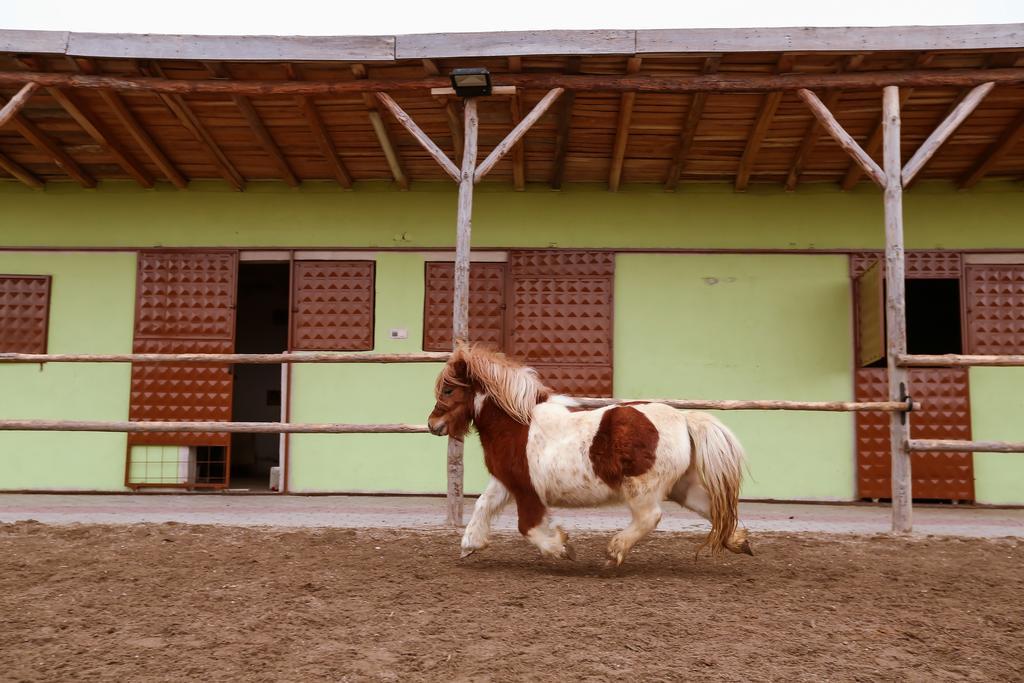 Afyon Can Termal Apart Afyonkarahisar Buitenkant foto